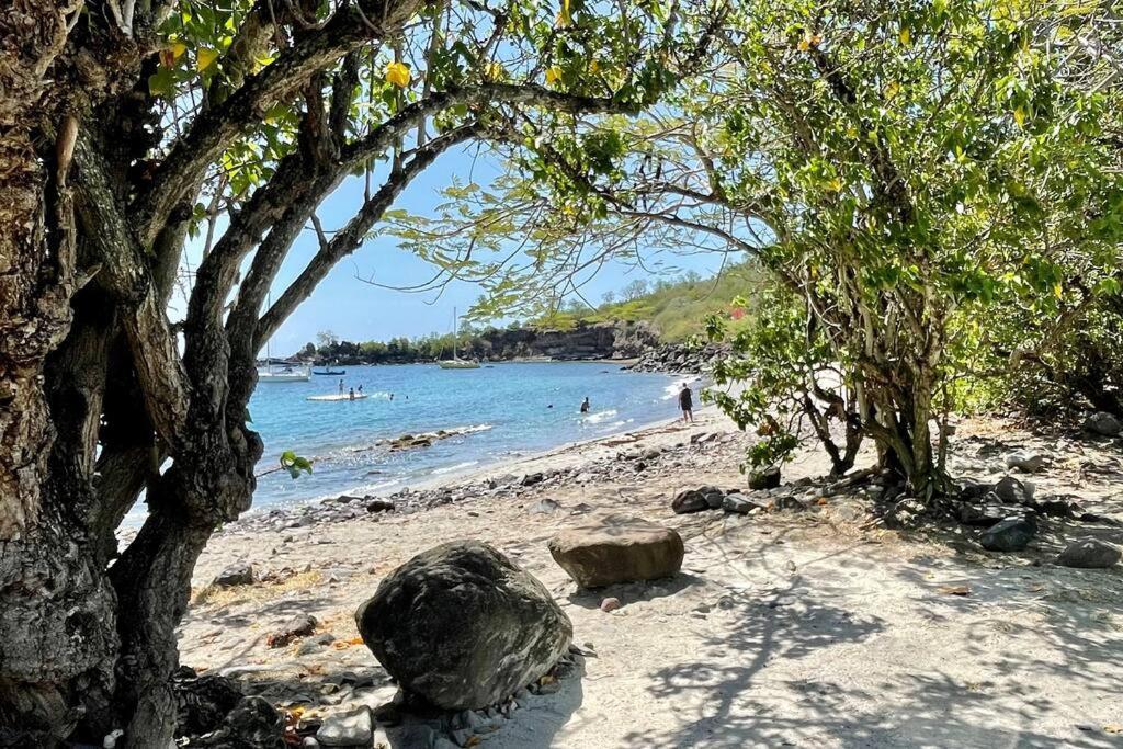 Location Gite Bungalow A 70M De La Plage Bouillante Esterno foto